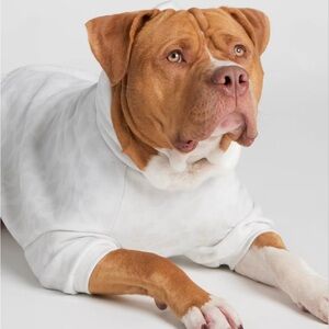 Comfrt Snow Leopard Dog Hoodie